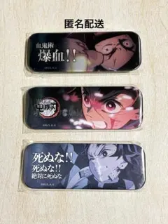 鬼滅の刃 ダイニング 他 ロング缶バッジ 義勇 禰豆子 鱗滝 錆兎 朱紗丸
