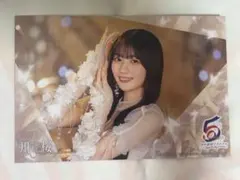 乃木坂46 川崎桜 神宮 入場特典　ポストカード