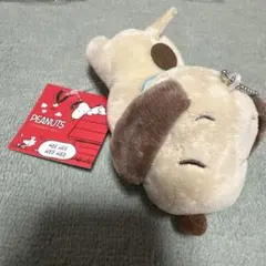 タグ付き！スヌーピー PEANUTS(茶色カラー）