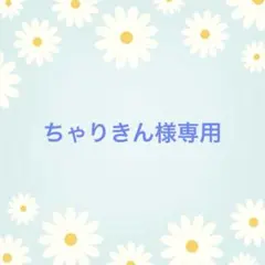 ちゃりきん様専用ページ