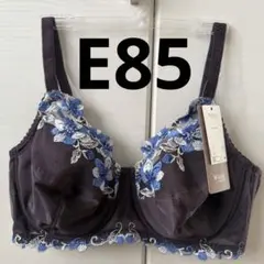 Wing/Wacoal ウイング/ワコール　レシアージュ　ブラジャーのサムネイル
