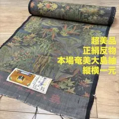 超美品　正絹　反物　一反分　本場奄美大島紬　着物　絹100% 証紙付き　縦横一元