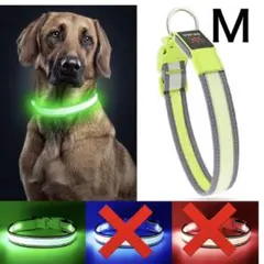 Item thumbnail for item 084128dc-fb32-44b4-b449-0634e1a1864e