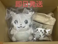はじまりのピカチュウ ぬいぐるみ マスコット 2点セット