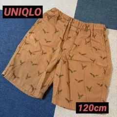 UNIQLO ブラウン ゴムウエストパンツ