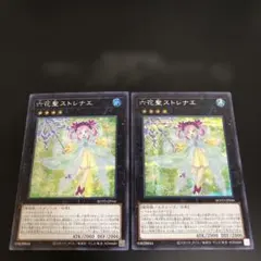 最安値！　六花聖　ストレナエ　シークレット　2枚