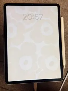 iPadpro 11インチ 第2世代 512GB ApplePencil付き