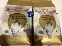 ROYAL CANIN ノルウェージャンフォレストキャット 2kg×2 - メルカリ