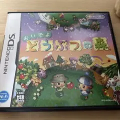 【価格相談可】おいでよ どうぶつの森 ニンテンドーDS