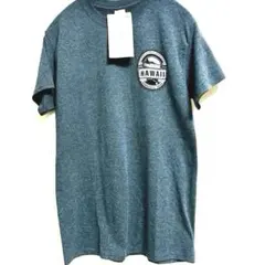 新品タグ付　ハワイ限定 ABCストア Tシャツ S ギルダン グレーのサムネイル
