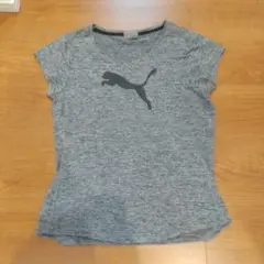 PUMA グレー TシャツM