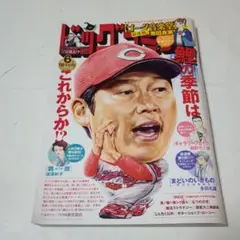 ビッグコミック増刊 2025年6月17日号