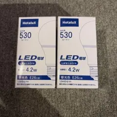 【未使用】HotaluX LED電球 2個セット E26口金