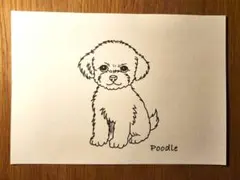 トイプードルのイラストアート