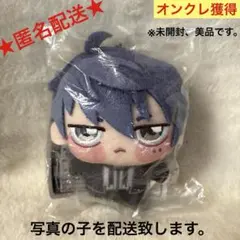 【オンクレ獲得、美品】桃源暗鬼　ちょぴぬいぷち　一ノ瀬四季