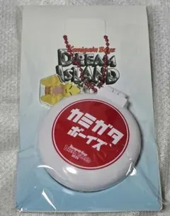 KAMIGATA BOYZ ライブ グッズ KAMIGATAブラシ