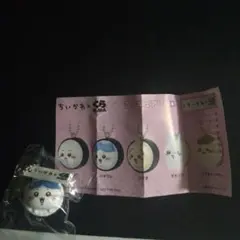 ハチワレ　くら寿司　ビッくらポン