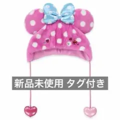 ディズニー ミニーのファンダーランド パルパルーザ　 ファンキャップ