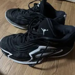 y*e様 Jordan バスケットボールシューズ ブラック/ライムグリーン ルカ 