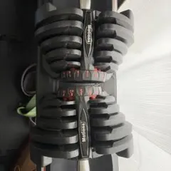 可変式ダンベル 40kg バーウィング 片方 - メルカリ