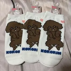 レディース　ソックス　わんちゃん柄　3足セット　トイプードル