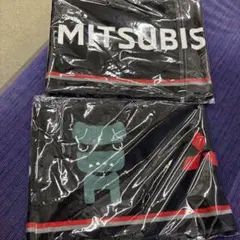 三菱自動車 デリカミニ マスコットタオル 2枚セット