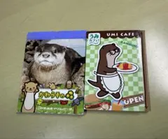 カワウソ メモ&付箋 セット