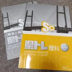 第5回 神奈川県高校入試学力検査予想問題 数学 理科 社会 国語 英語