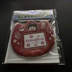 ももかっぱちゃん お名前バッジ E賞