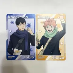 ハイキュー コスモワールド 日向翔陽 影山飛雄 カーニバルゲーム 参加賞 カード