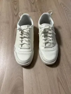 Item thumbnail for item 0a253087-168e-4e91-9baa-83c496c51ed3