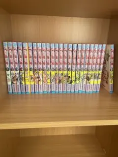ジョジョの奇妙な冒険 スティール・ボール・ラン全巻