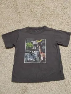 恐竜　半袖Tシャツ　110cm