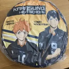 Item thumbnail for item 1b68dd72-3e1c-45d1-b5e9-f8ab449c1156