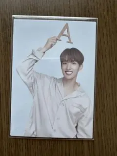 SEVENTEEN Ode to Youドギョム トレカ114