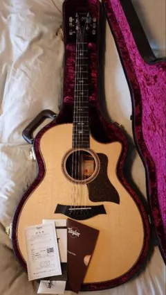 廃盤！Taylor 714ce V-Class ES2 幻のルッツスプルースのサムネイル