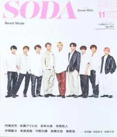 (6073)Snow Man　SODA 切り抜き　阿部亮平　連載　切り抜き