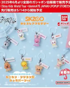 スキズ　SKZOOめじるしアクセサリー　コンプリート