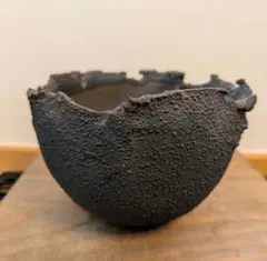 たけろうぽっと　チギリ　コガネ L CATEGORY 2025/2/16 20:00~ | 芽の巣山