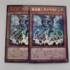 遊戯王 嵐征竜―テンペスト ウルトラレア 2枚セット