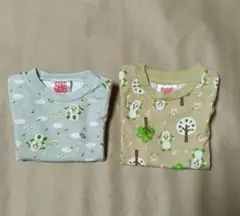 いないいないばあ 2点セット