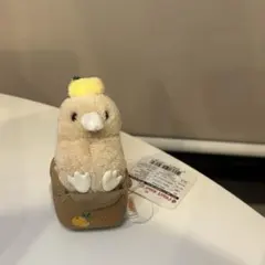 FRUIT KIWI キーウィ鳥　キーリング