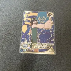 NARUTO マイトガイ ZR カード