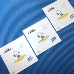 非売品 スヌーピー サウナイキタイ コラボ冊子 3冊セット PEANUTS