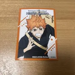 ハイキュー 日向翔陽 ぱしゃこれPREMIUM 応援団 - メルカリ