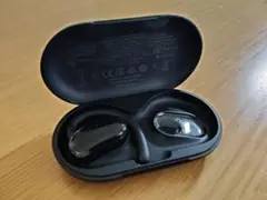 Anker Soundcore V20i　左耳とケースのみ　イヤホン　黒