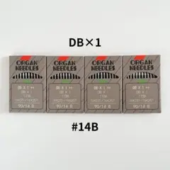 Item thumbnail for item 455e278d-7a28-41c3-9c8b-f6ca58a8edf5