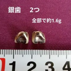 Item thumbnail for item fac8d627-461c-4e51-8b4f-8060396f95b1