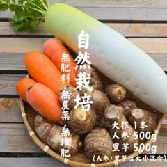 無肥料・無農薬の新鮮野菜セット大根・人参・里芋 8b