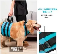 Item thumbnail for item 91a294eb-0860-4dd5-aee9-a571efbbff79